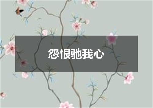 怨恨驰我心