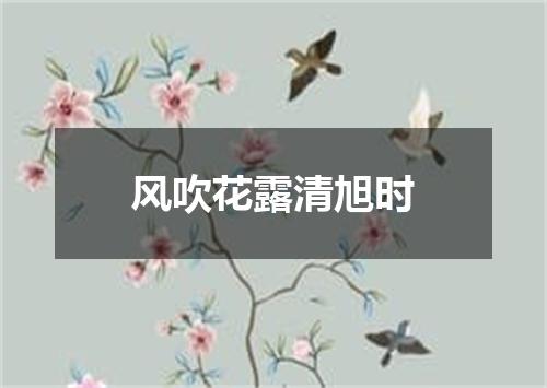 风吹花露清旭时