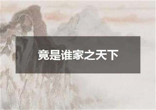 竟是谁家之天下