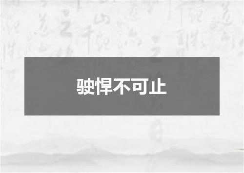 驶悍不可止