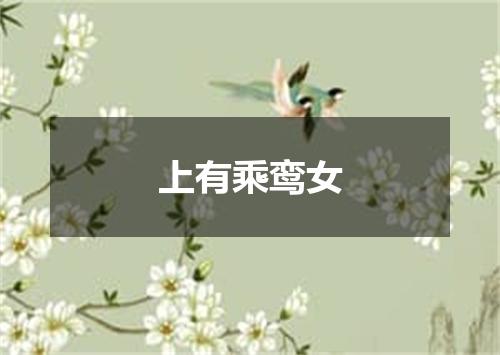 上有乘鸾女