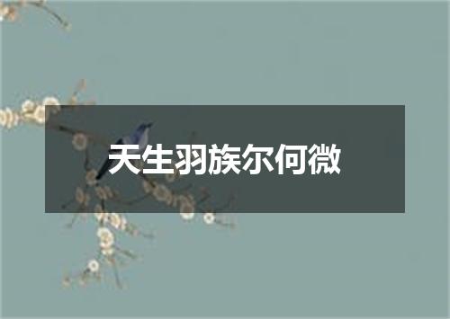 天生羽族尔何微