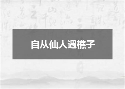 自从仙人遇樵子