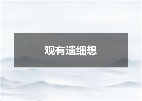 观有遗细想