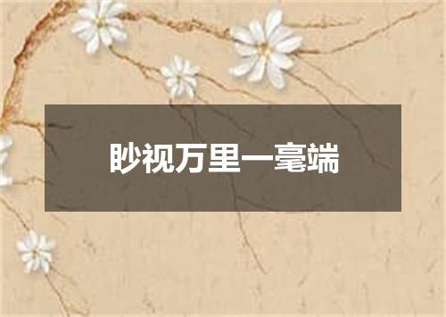 眇视万里一毫端
