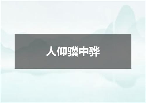 人仰骥中骅