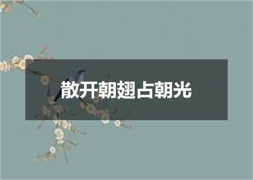散开朝翅占朝光