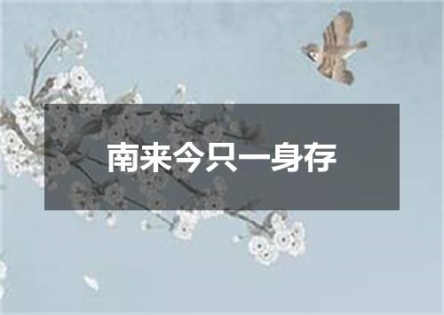 南来今只一身存