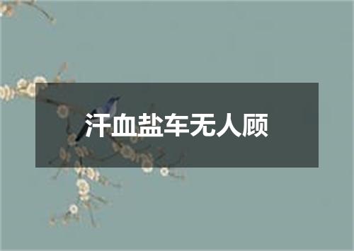 汗血盐车无人顾