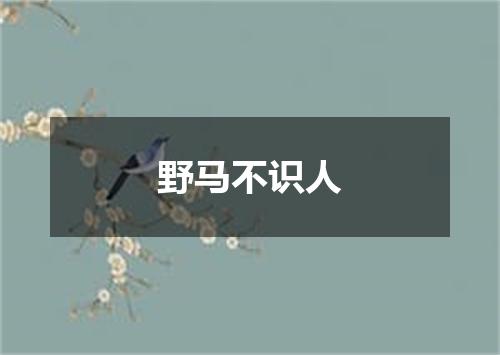 野马不识人