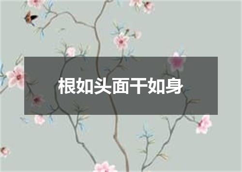 根如头面干如身
