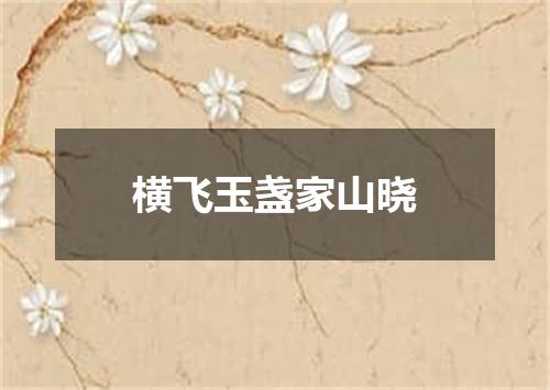 横飞玉盏家山晓