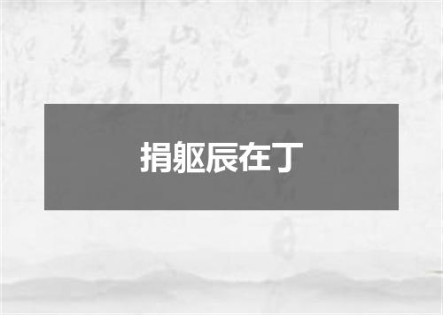 捐躯辰在丁