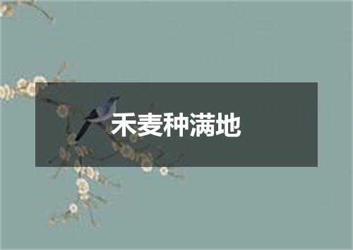 禾麦种满地