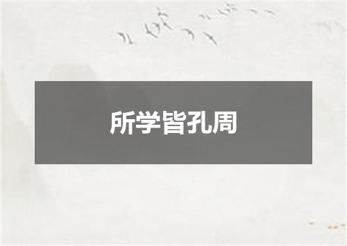 所学皆孔周