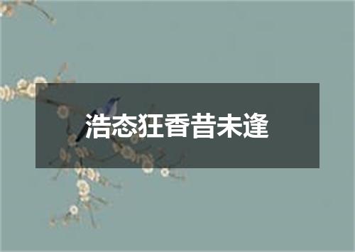 浩态狂香昔未逢