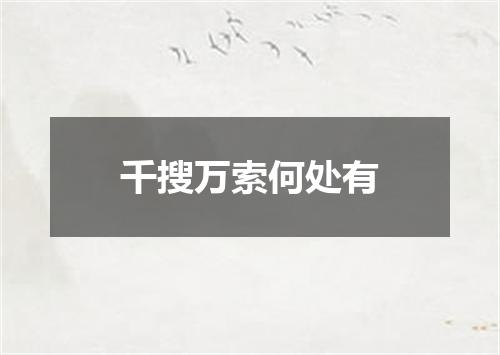 千搜万索何处有