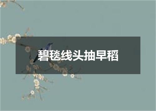 碧毯线头抽早稻