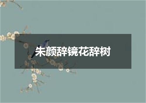朱颜辞镜花辞树