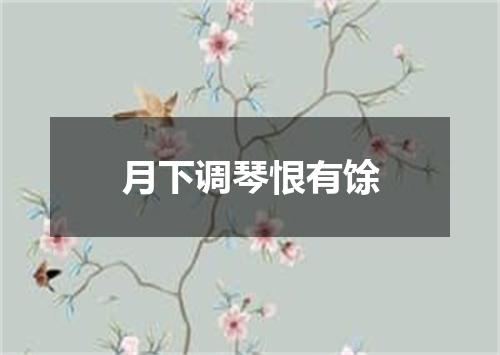 月下调琴恨有馀