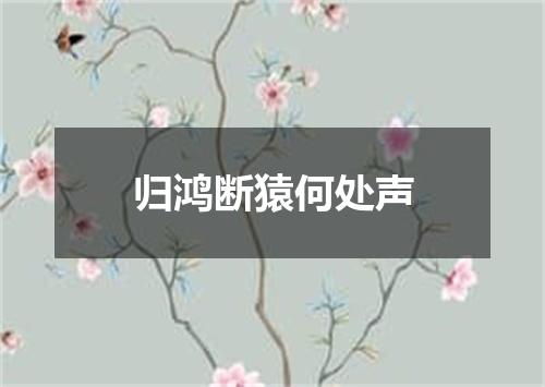 归鸿断猿何处声