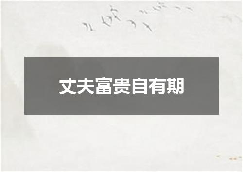 丈夫富贵自有期
