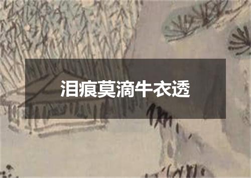 泪痕莫滴牛衣透