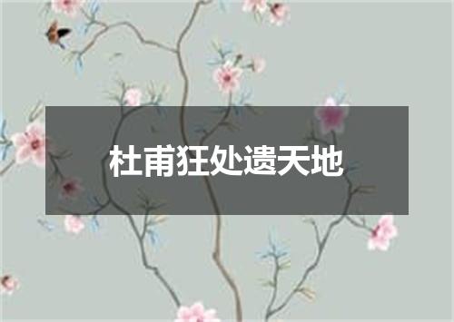 杜甫狂处遗天地