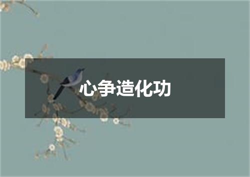 心争造化功