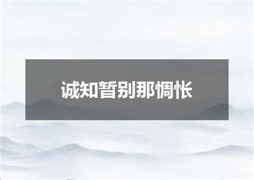 诚知暂别那惆怅
