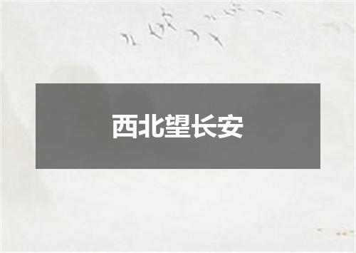 西北望长安