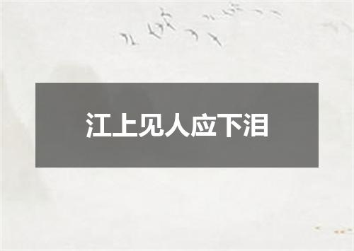 江上见人应下泪