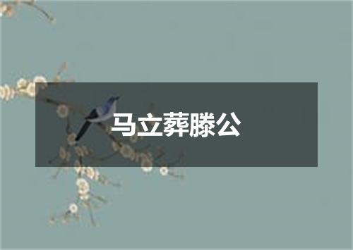 马立葬滕公