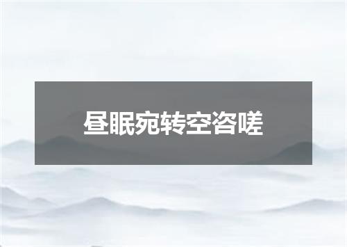 昼眠宛转空咨嗟