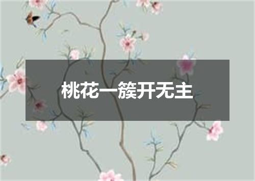 桃花一簇开无主