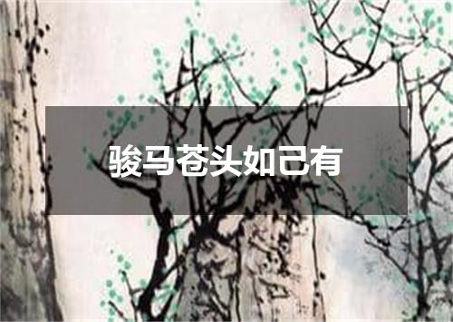 骏马苍头如己有