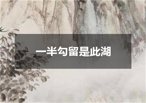 一半勾留是此湖