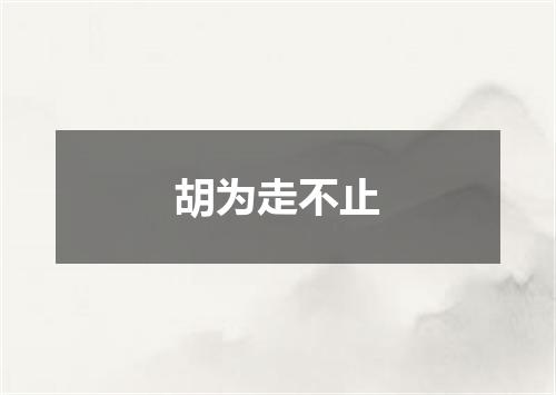 胡为走不止