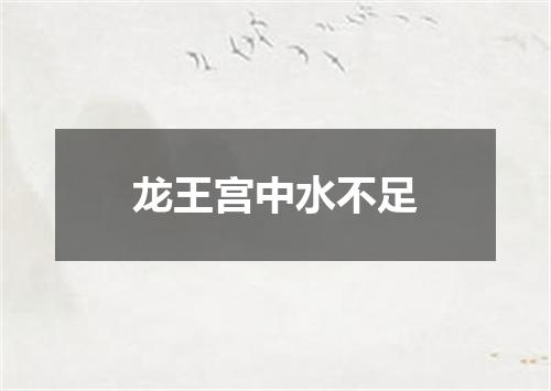 龙王宫中水不足
