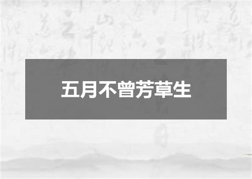 五月不曾芳草生