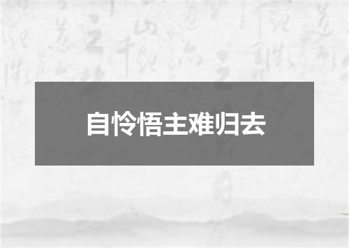 自怜悟主难归去