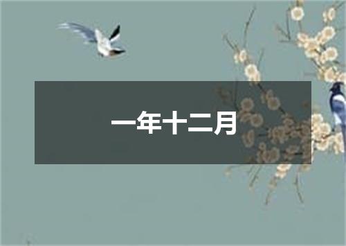 一年十二月