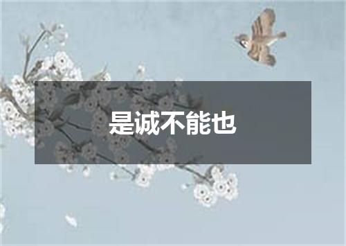是诚不能也