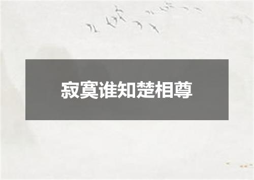 寂寞谁知楚相尊
