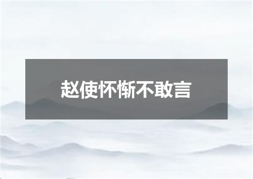 赵使怀惭不敢言