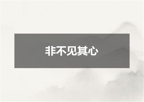 非不见其心