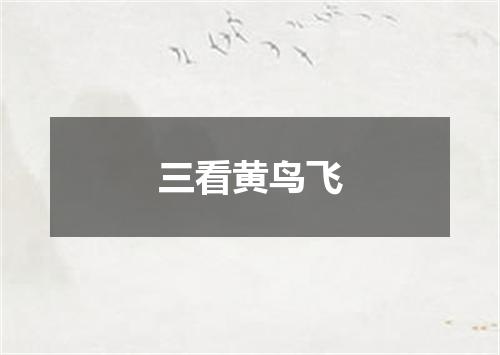 三看黄鸟飞