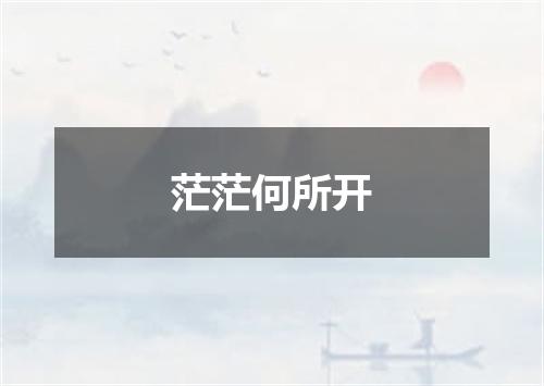茫茫何所开