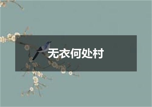 无衣何处村