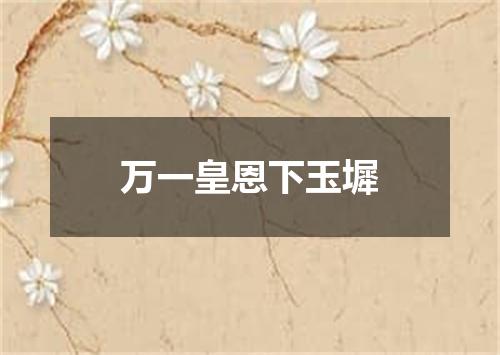 万一皇恩下玉墀